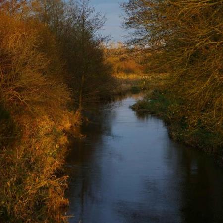 les landes de Lessay
